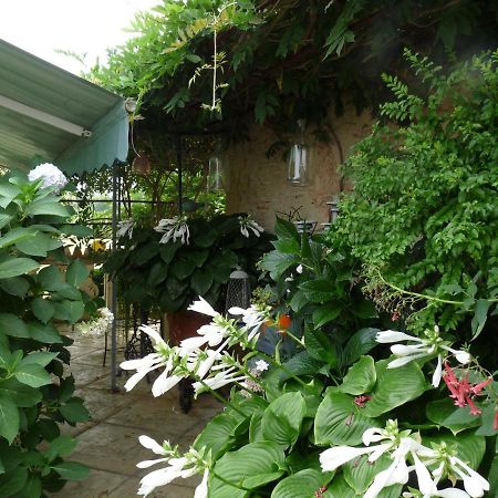 Bed and Breakfast Le Pouy Termes-d'Armagnac Exterior foto