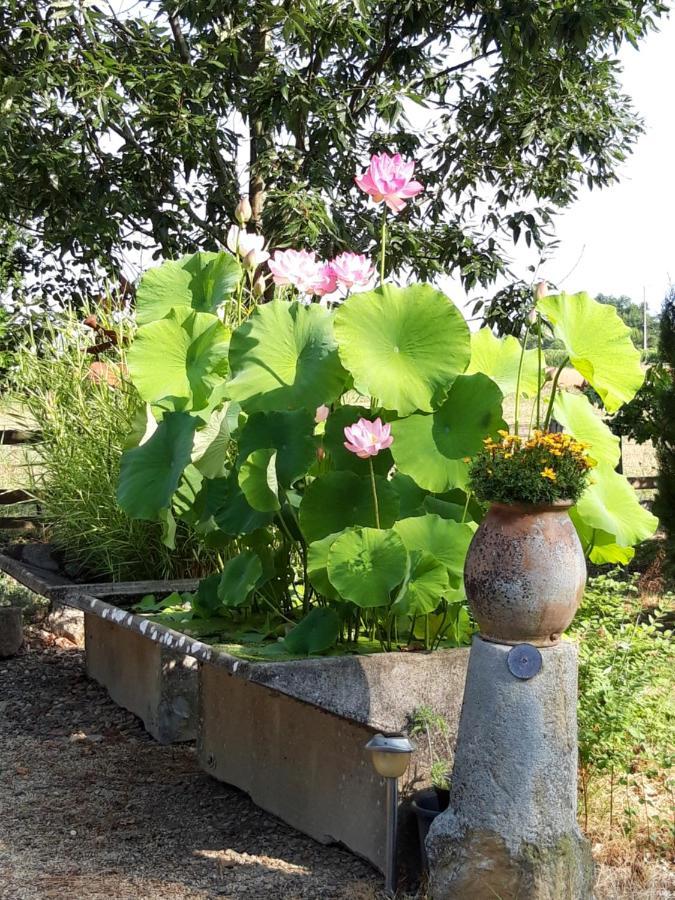 Bed and Breakfast Le Pouy Termes-d'Armagnac Exterior foto