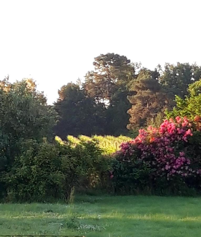 Bed and Breakfast Le Pouy Termes-d'Armagnac Exterior foto
