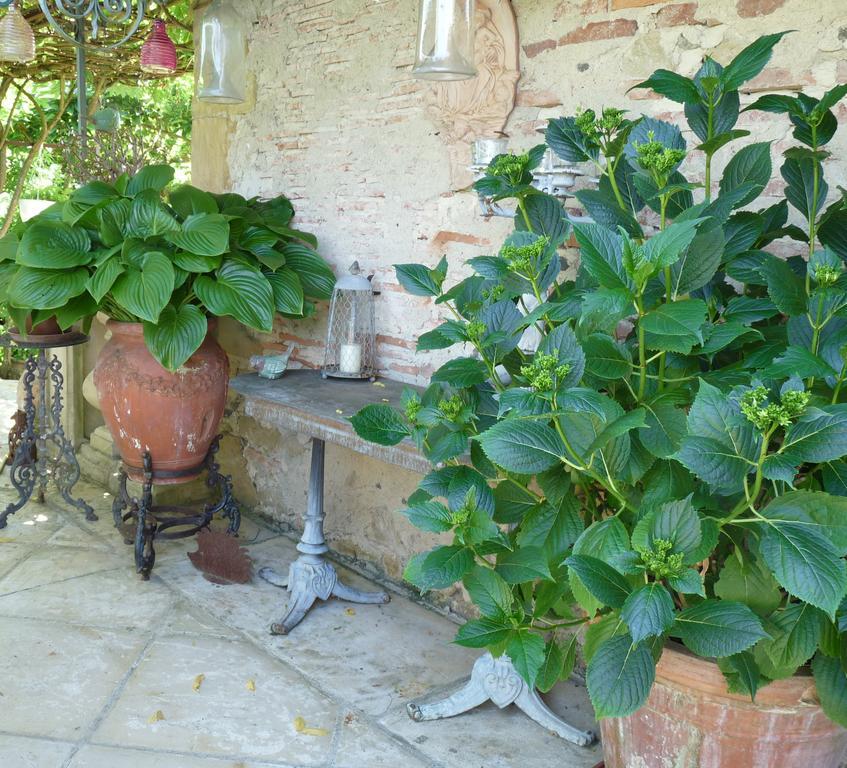 Bed and Breakfast Le Pouy Termes-d'Armagnac Exterior foto
